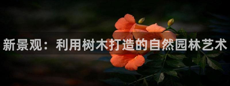 卧龙娱乐注册：新景观：利用树木打造的自然园林艺术