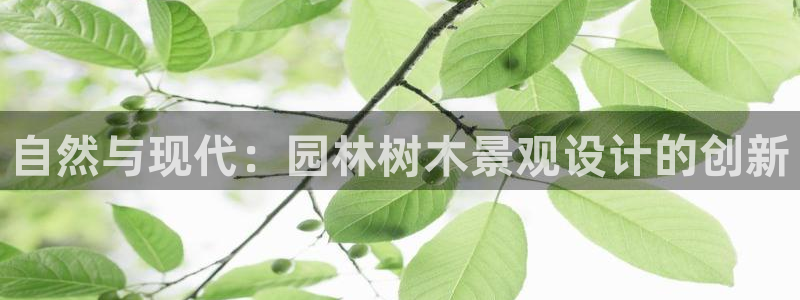 南阳卧龙水之梦娱乐会所：自然与现代：园林树木景观设计的创新