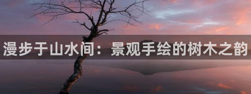 卧龙娱乐属于什么行业：漫步于山水间：景观手绘的树木之韵