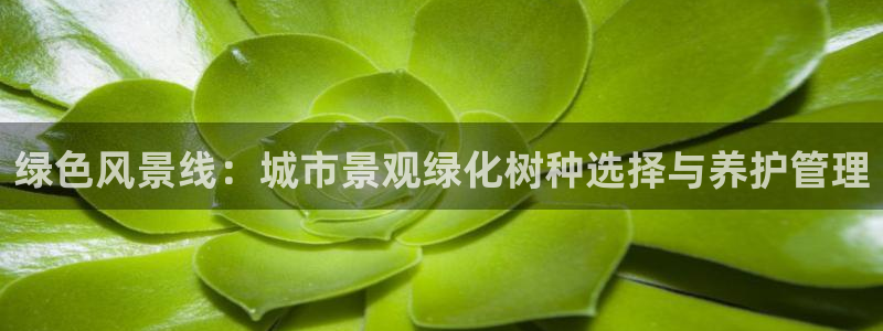卧龙娱乐招商代理：绿色风景线：城市景观绿化树种选择与养护管理