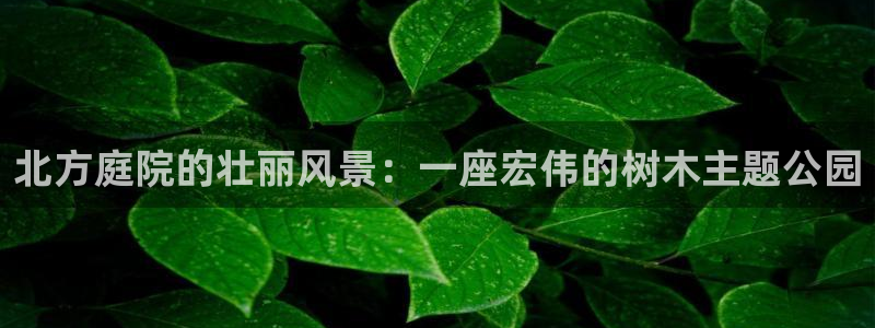 卧龙凤锄娱乐