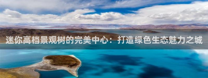 卧龙娱乐怎样注册账号：迷你高档景观树的完美中心：打造绿色生态魅力之城