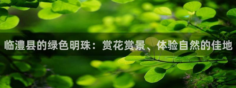 卧龙娱乐总代理是谁呀