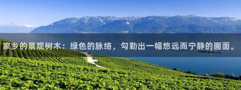卧龙岗娱乐：家乡的景观树木：绿色的脉络，勾勒出一幅悠远而宁静的画面。