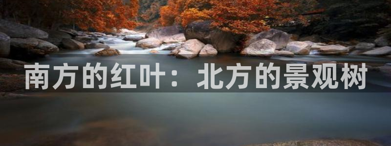 卧龙娱乐老板叫什么：南方的红叶：北方的景观树