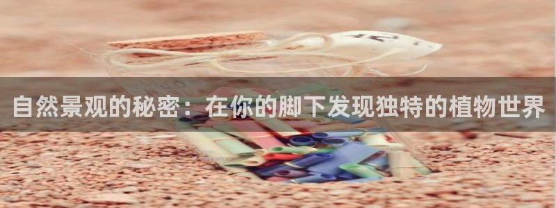 郑州卧龙娱乐王凯旋简历