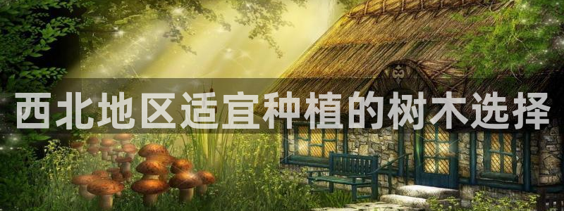 大娱乐家卧龙先生：西北地区适宜种植的树木选择