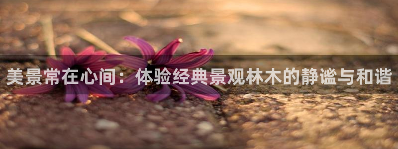 柏林娱乐- 0 7卧龙：美景常在心间：体验经典景观林木的静谧与和谐