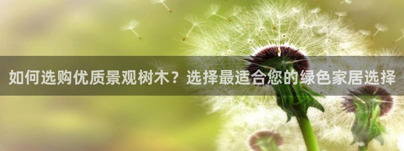 sky娱乐  0 47卧龙