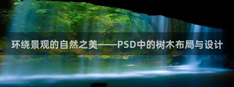 娱乐聚焦卧龙凤雏