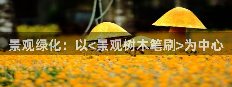 卧龙娱乐382223主管