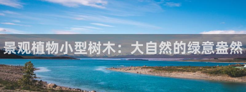 sky娱乐- 0 47卧龙