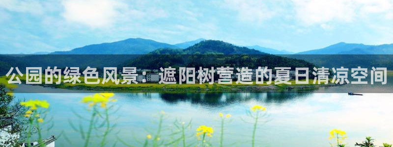 卧龙娱乐拆卡攻略