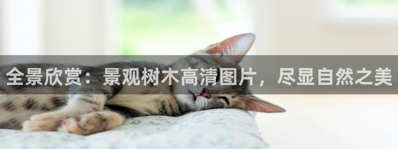卧龙娱乐32二九01