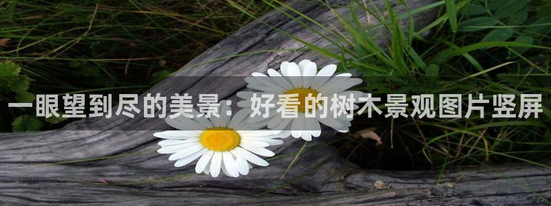 太和卧龙娱乐会所招聘：一眼望到尽的美景：好看的树木景观图片竖屏