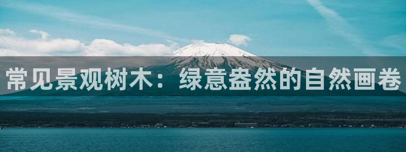 绥阳卧龙湖娱乐场所