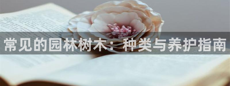 娱乐聚焦卧龙凤雏