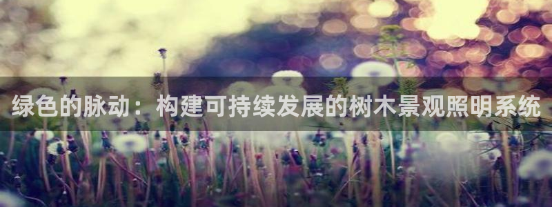 卧龙娱乐过山车：绿色的脉动：构建可持续发展的树木景观照明系统