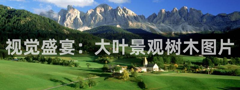 卧龙台球娱乐会所电话