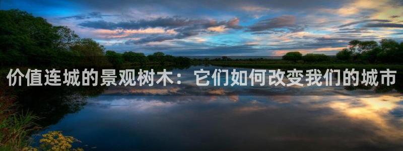 卧龙娱乐挂机平台：价值连城的景观树木：它们如何改变我们的城市