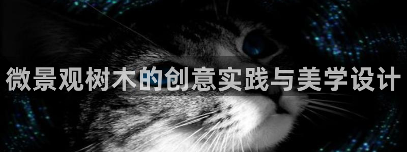 卧龙休闲娱乐人气推荐
