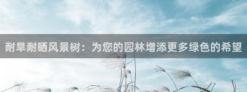 卧龙娱乐彩票中奖了吗：耐旱耐晒风景树：为您的园林增添更多绿色的希望