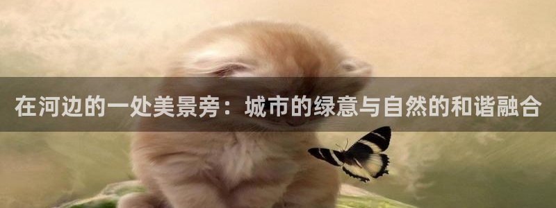 厦门卧龙台球娱乐会所