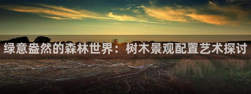fans娱乐卧龙凤雏